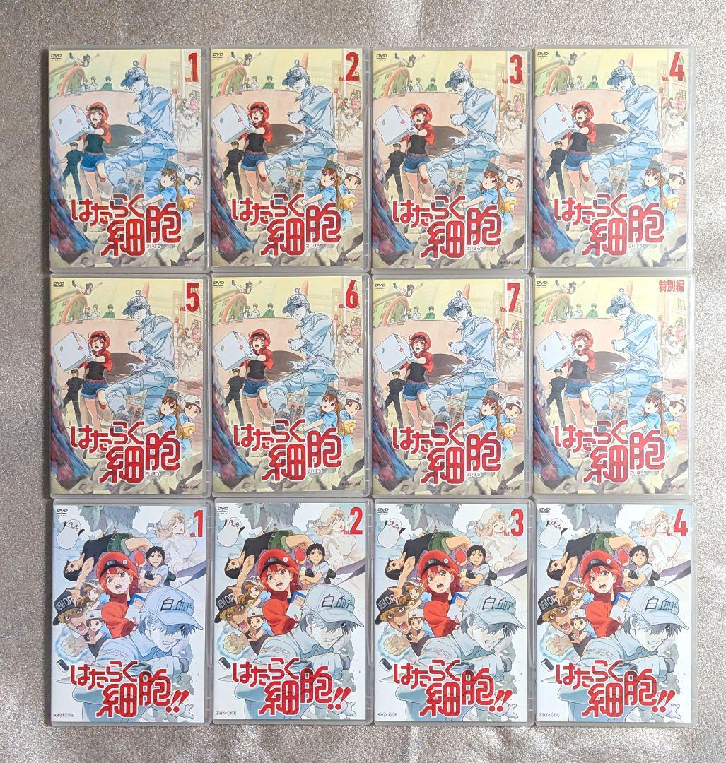 はたらく細胞　DVD　レンタル　アニメ　12本セット
