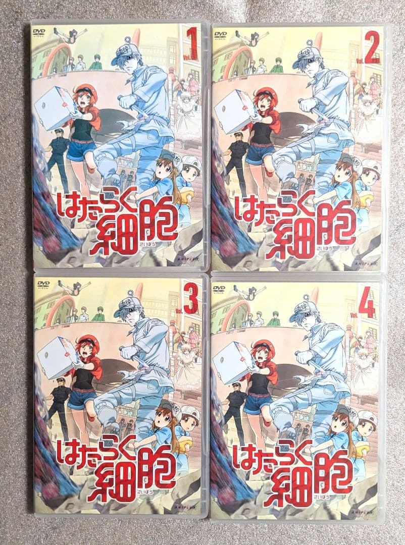 はたらく細胞　DVD　レンタル　アニメ　12本セット