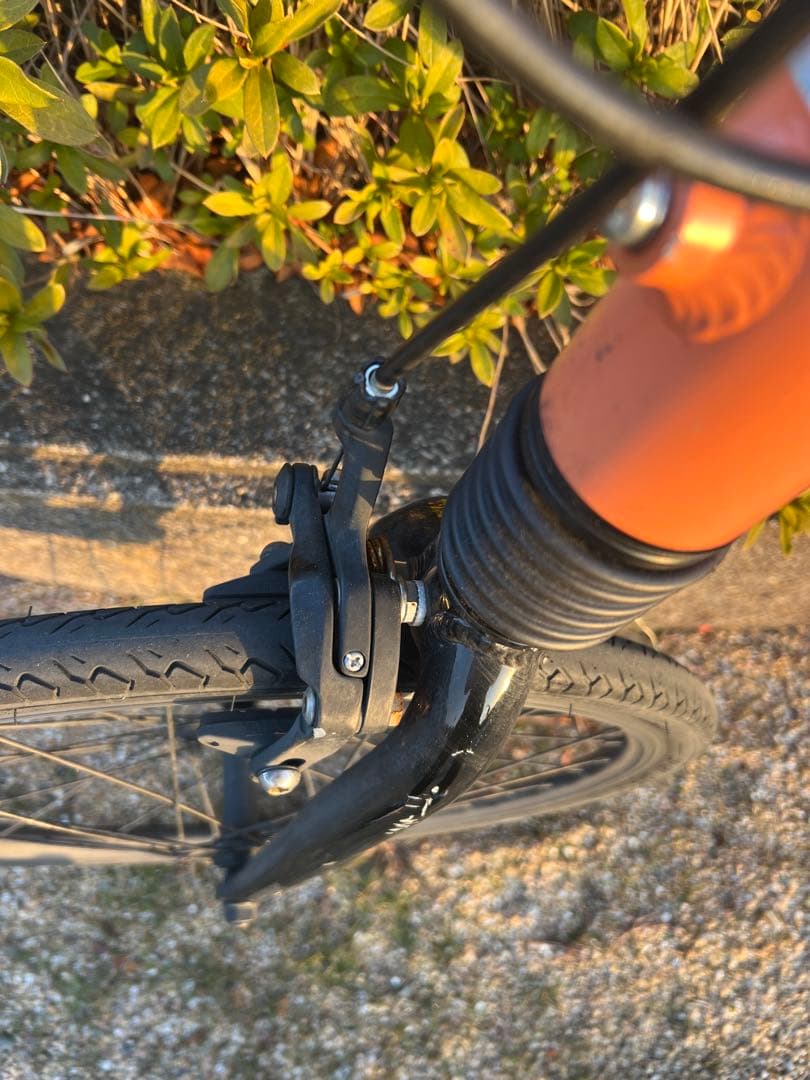 【長野県での直接お渡し限定】LOUIS GARNEAU シングルギア