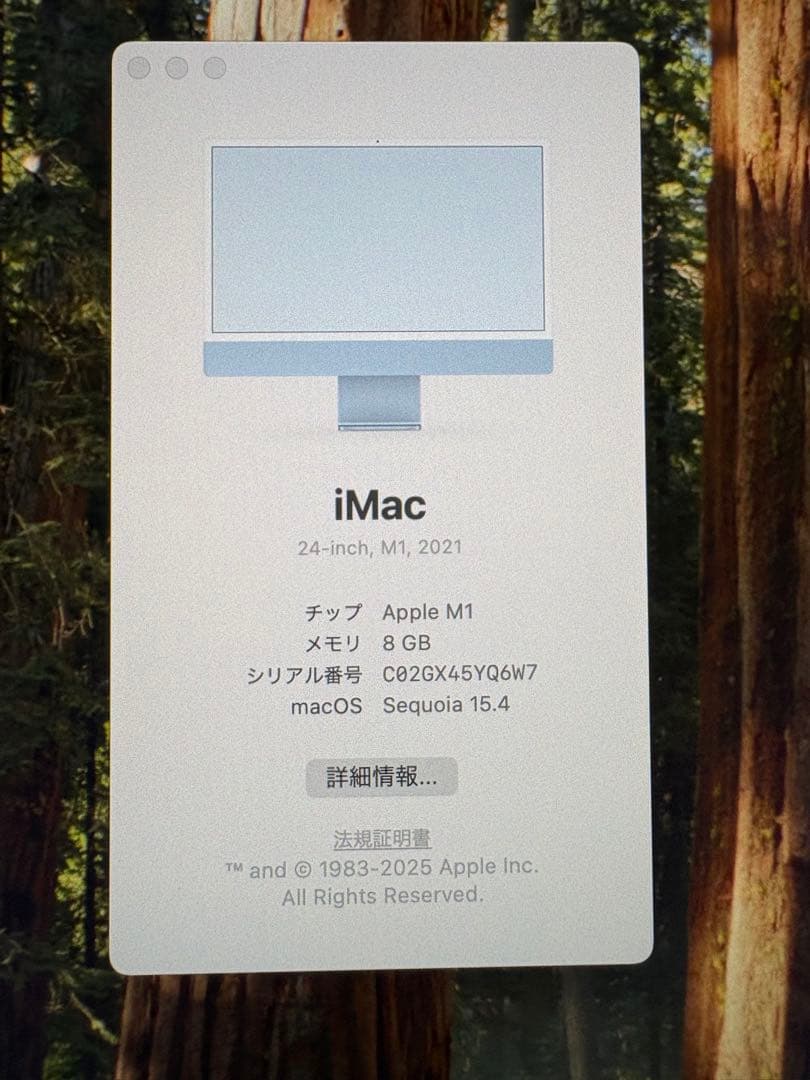iMac 2021 24インチMGPK3J/A ブルー