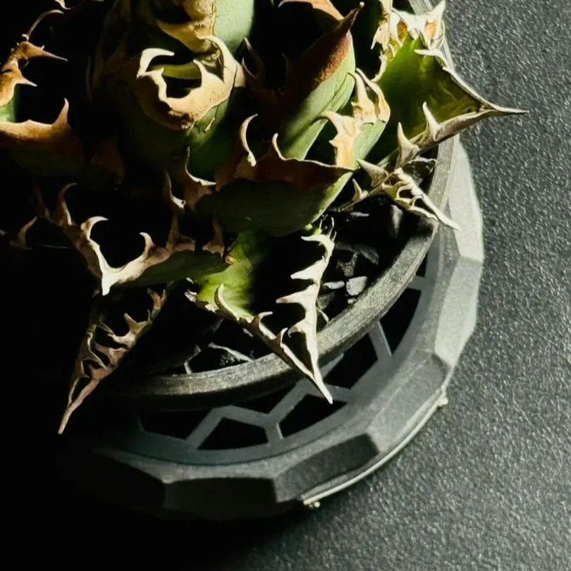 バーベキュー・調理用品 XWAG PRODUCTS X-TAGE BARREL KNOT ROUND M