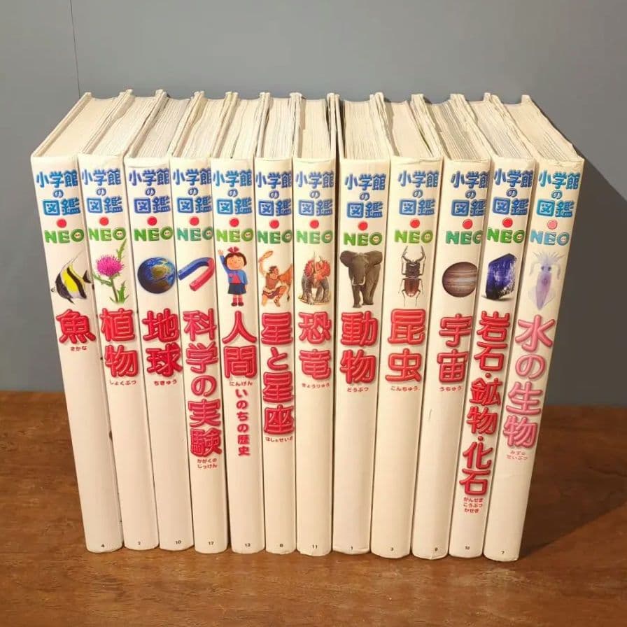 ★小学館の図鑑NEO★全12巻セット★
