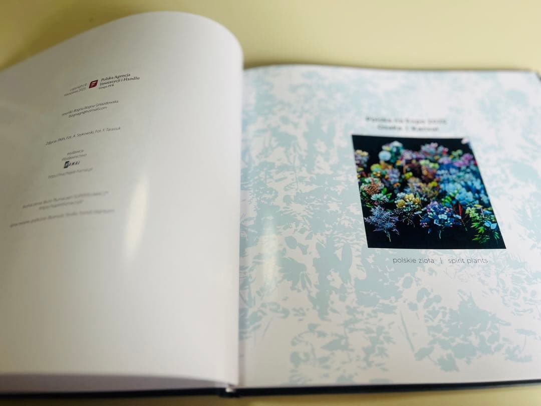 大阪関西万博 ポーランド館 ビジュアルブック 非売品