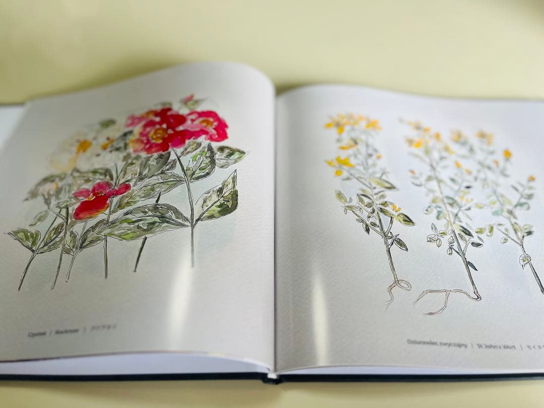 大阪関西万博 ポーランド館 ビジュアルブック 非売品