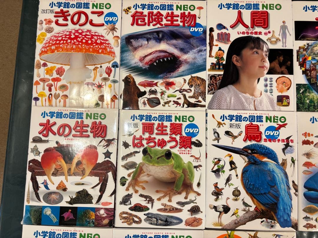 【小学館の図鑑　NEO　１２冊セット＋おまけ１冊】