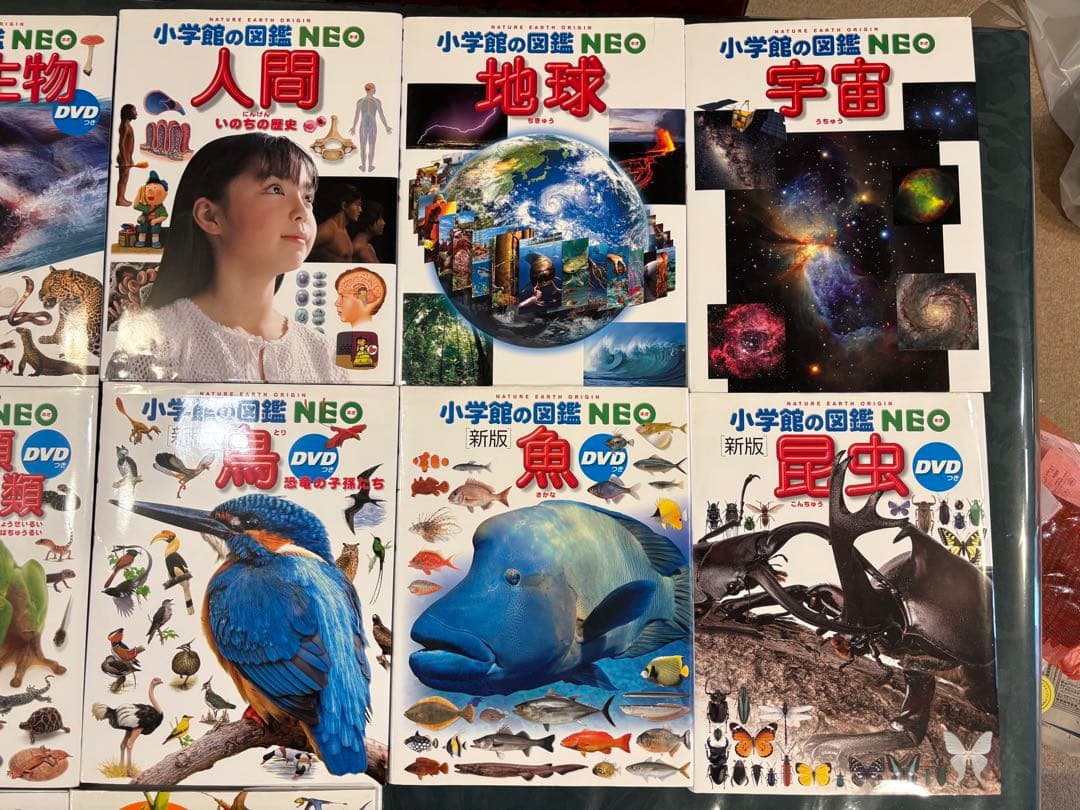 【小学館の図鑑　NEO　１２冊セット＋おまけ１冊】