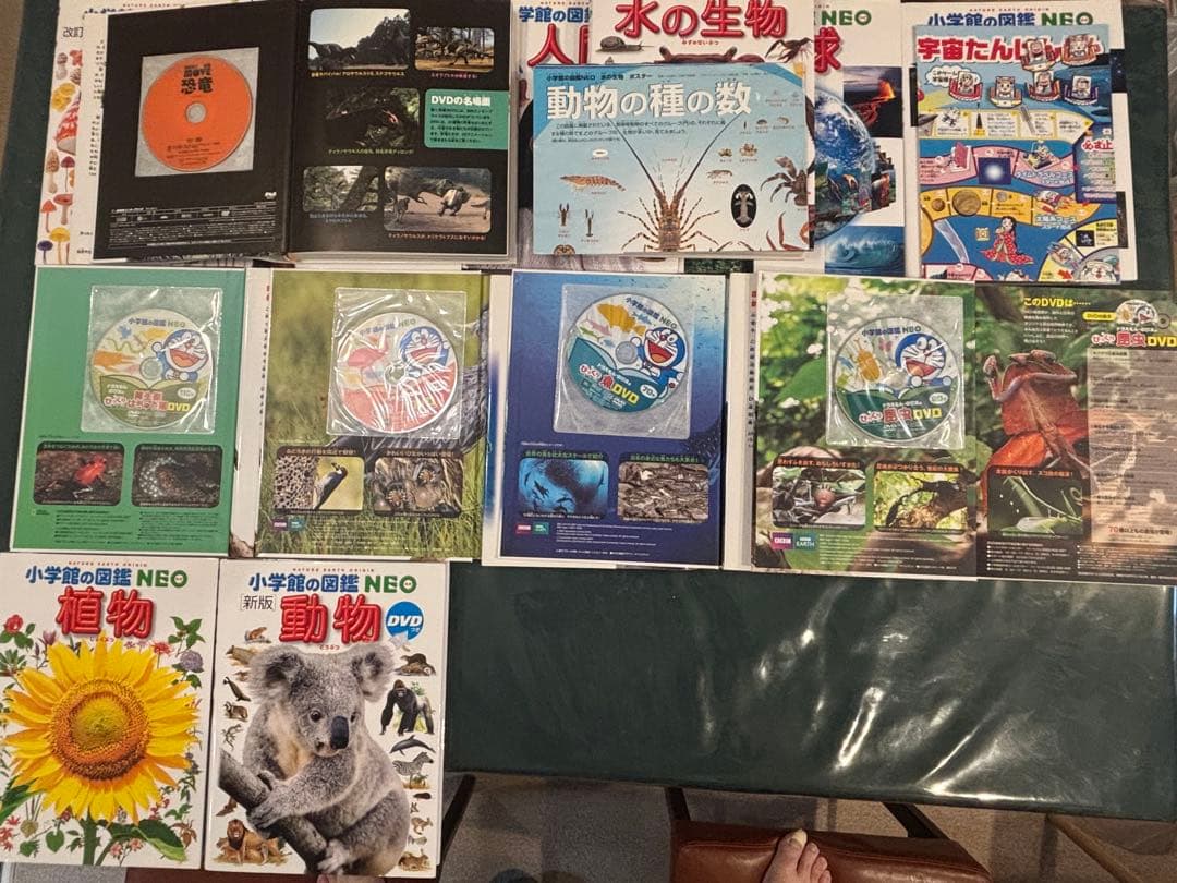 【小学館の図鑑　NEO　１２冊セット＋おまけ１冊】