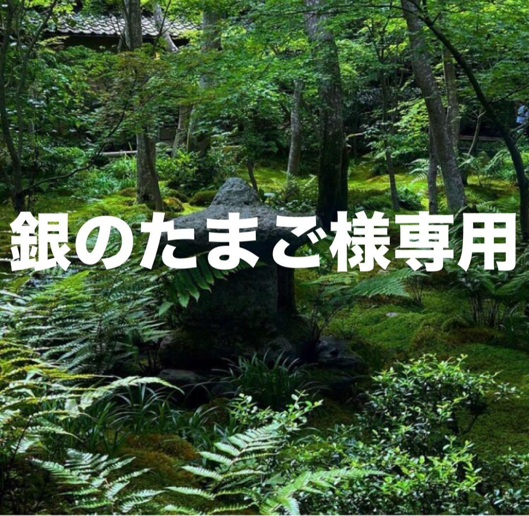 銀のたまご 美濃焼　黒錆マットリム6.5寸深皿