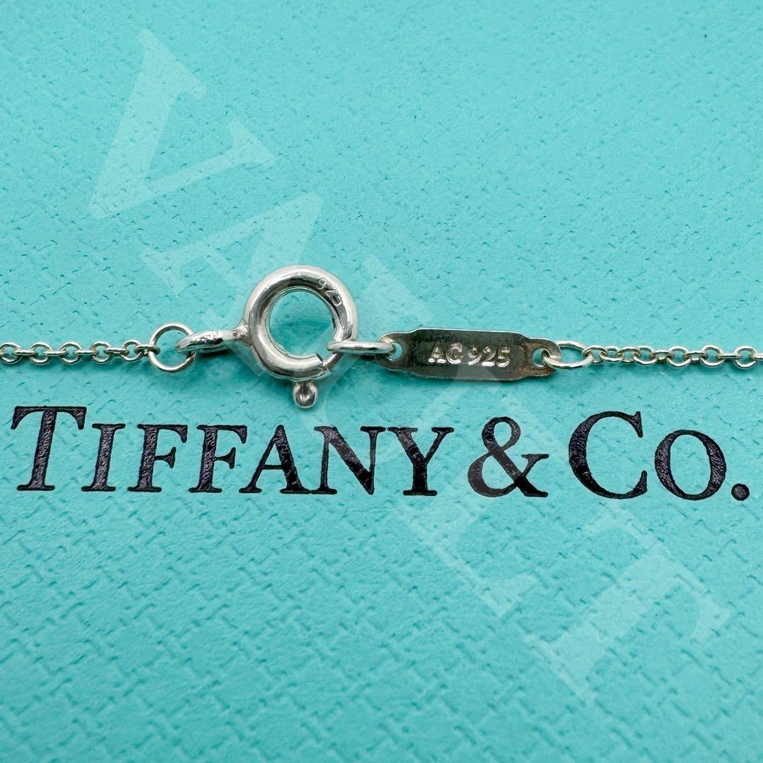 TIFFANY&Co.極美品 インターロッキング サークルネックレス Ag925