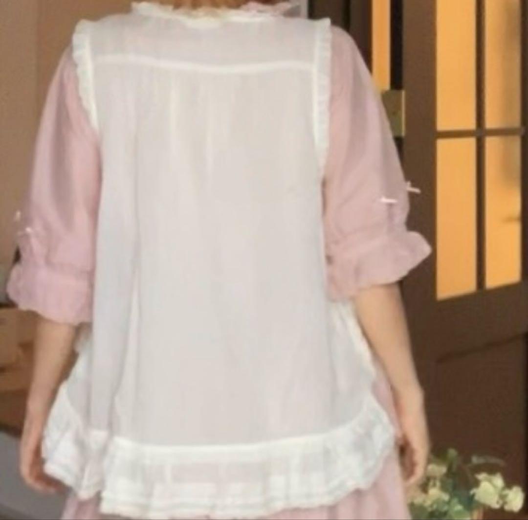 ピンクハウスダブリエ　野ばらとチェリー刺繍　pinkhouse