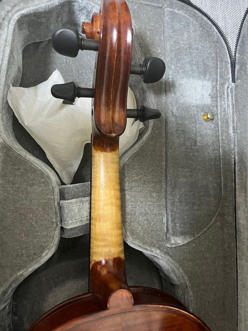 David Gage RV4PE-W SUGIZOモデル