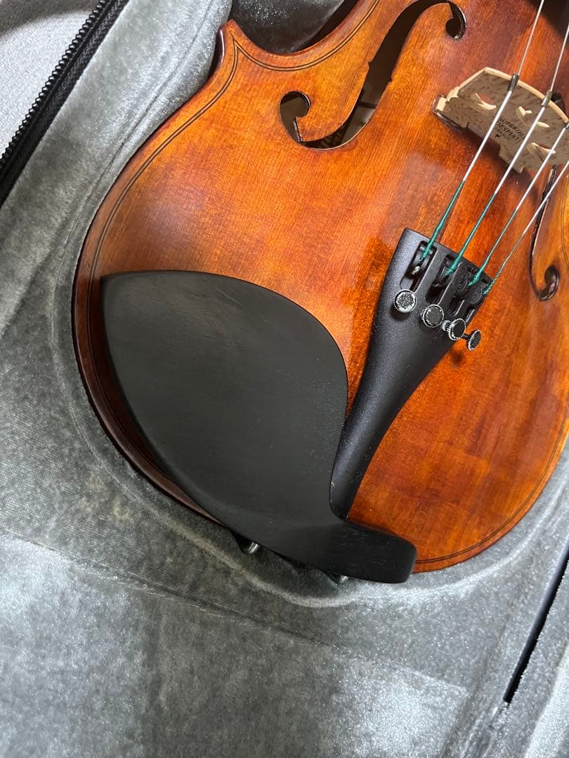 David Gage RV4PE-W SUGIZOモデル