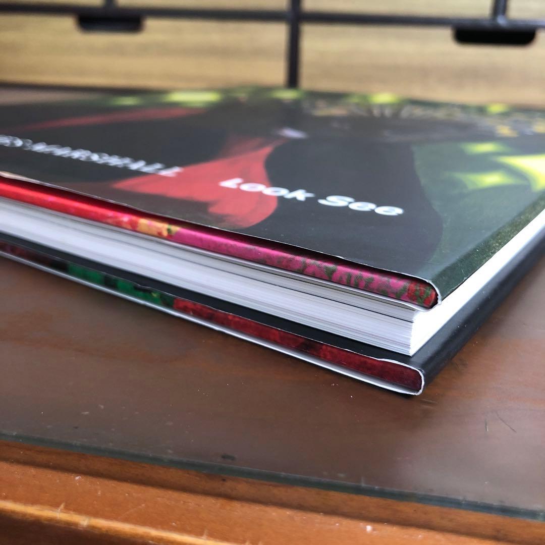 Kerry James Marshall Look See (洋書)