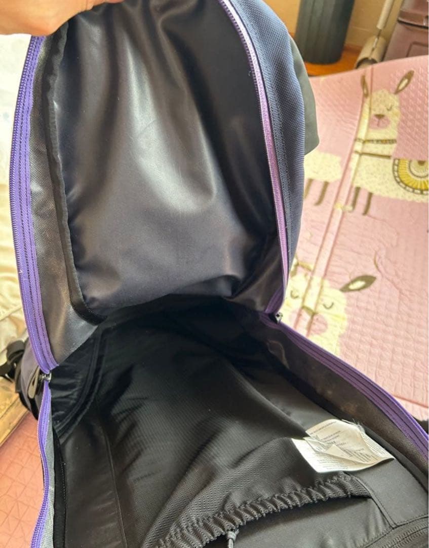 b*e様 廃品　超希少　ARC'TERYX Arro 22 BEAMS別注カラー