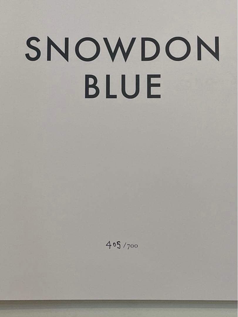 DON BLUE acne paper david bowie 希少品