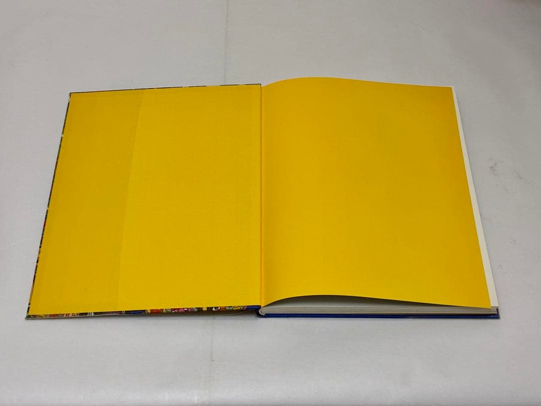 James Rizzi The New York Paintings 画集 洋書