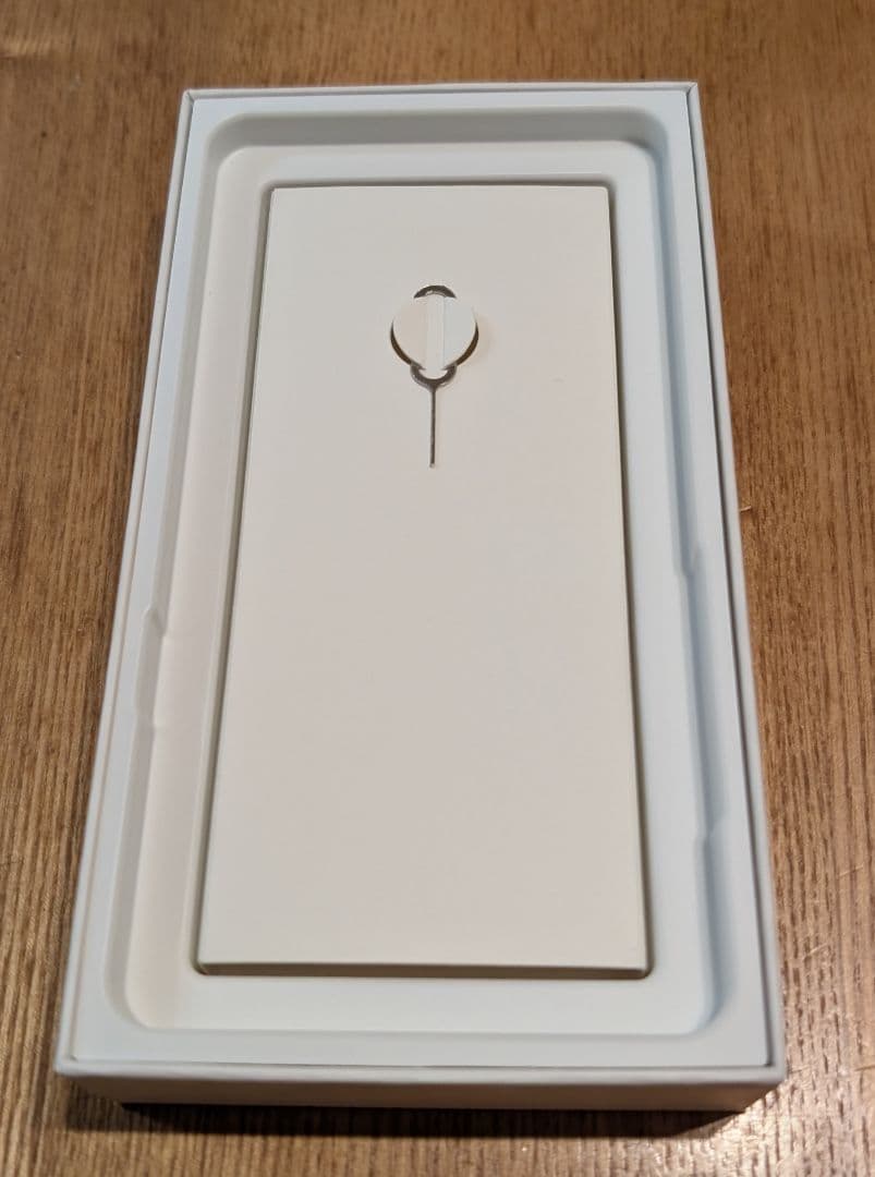 【美品・ケース付】BOOX Palma 6.13インチ 電子ペーパー スマホ型