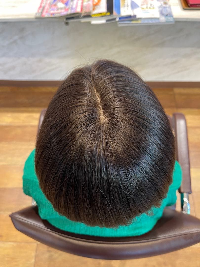 人毛ブラウン100%レミー毛ウィッグソムリエバランス調整済み部分ウィッグ