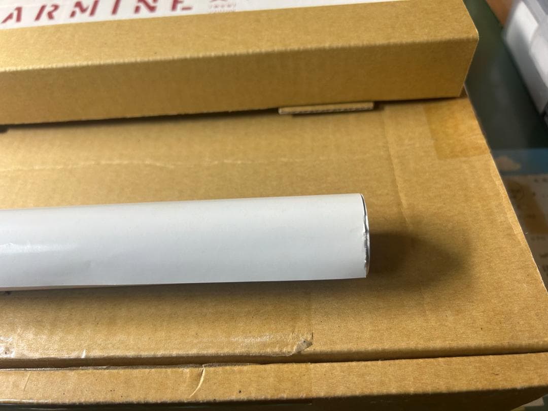 貞本義行画集 CARMINE限定版