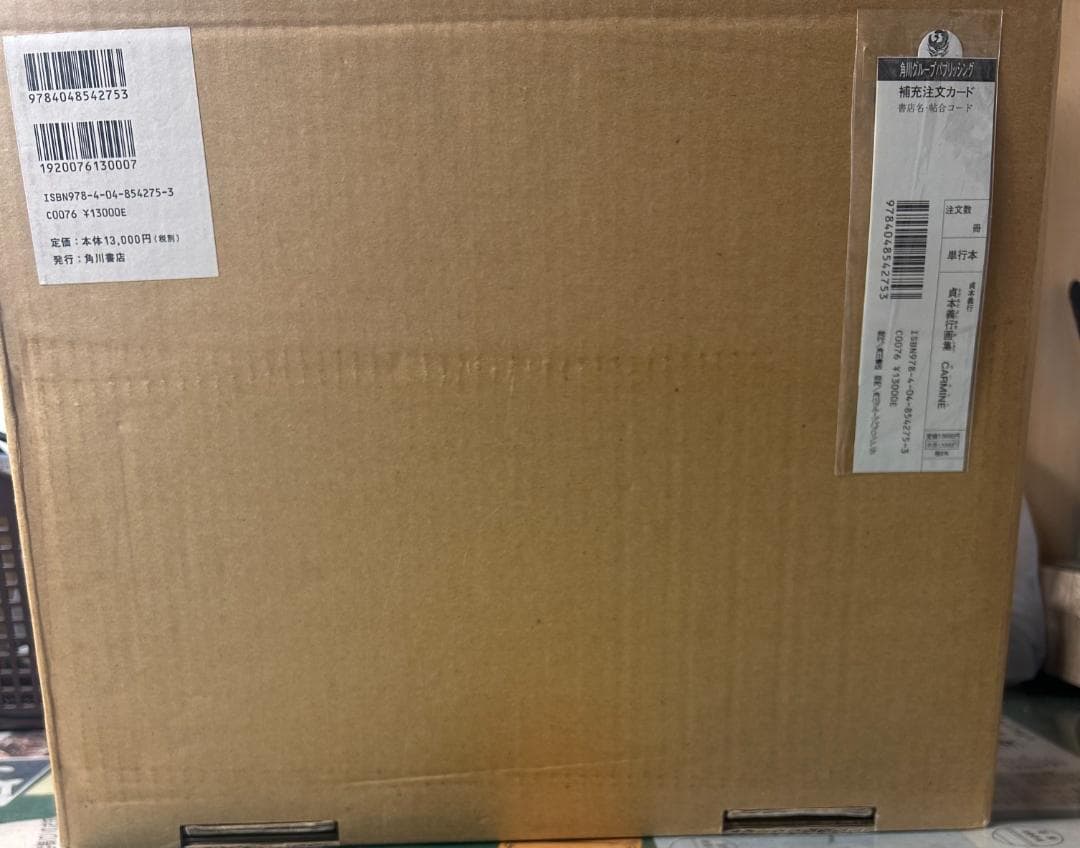 貞本義行画集 CARMINE限定版