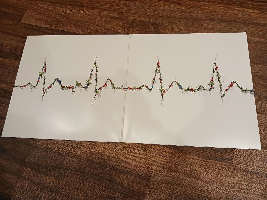 星野源 / POP VIRUS《レコード》