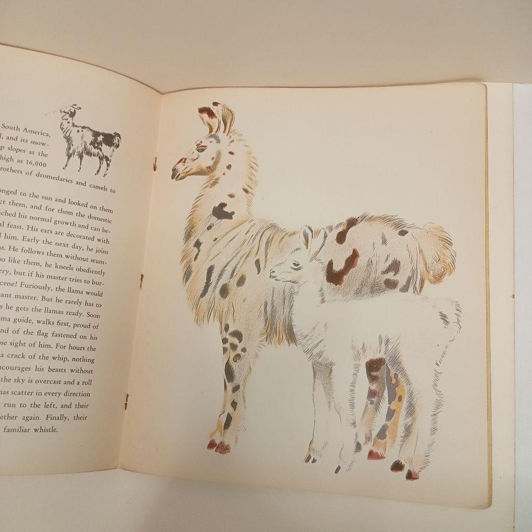 ロジァンコフスキー絵本ー「WILD  ANMALS  AT 」1935年