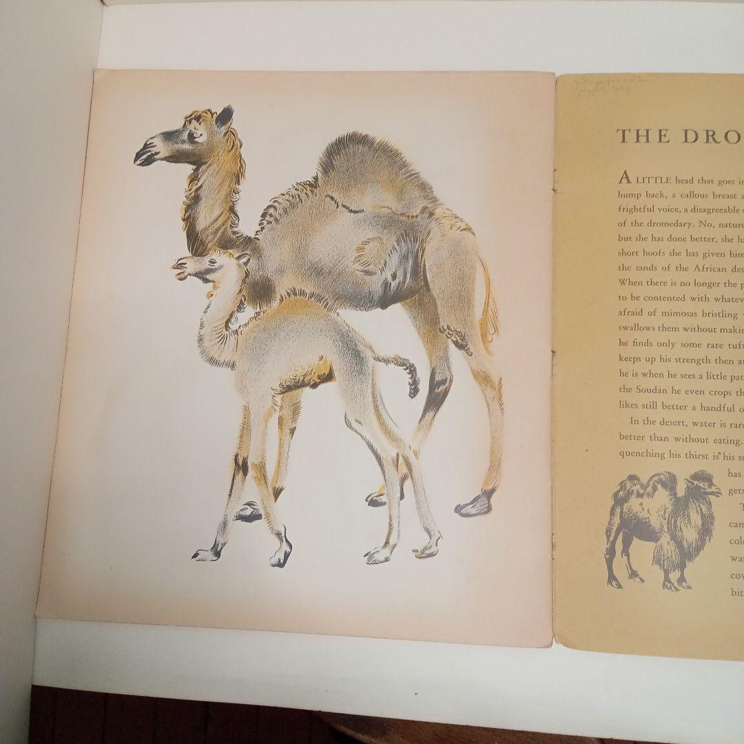 ロジァンコフスキー絵本ー「WILD  ANMALS  AT 」1935年