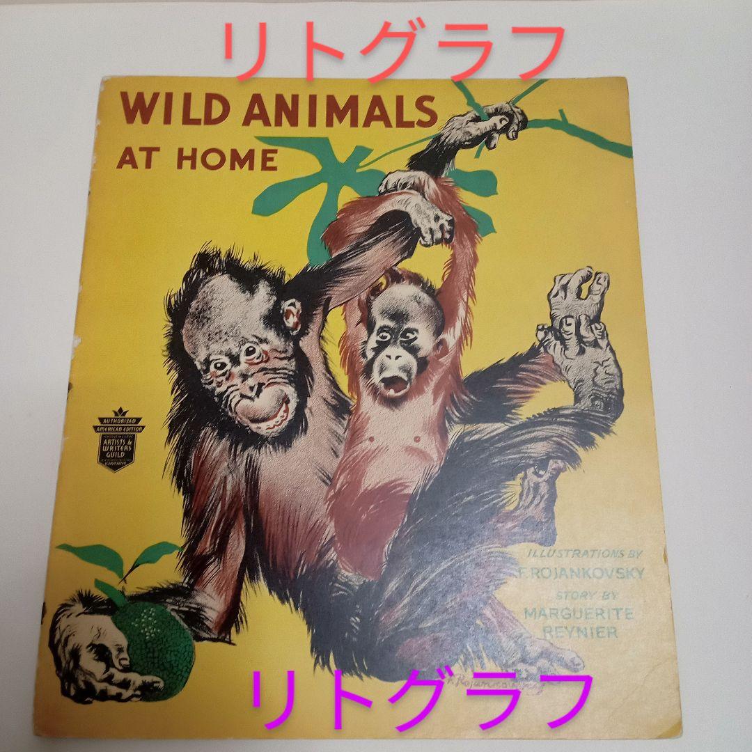 ロジァンコフスキー絵本ー「WILD  ANMALS  AT 」1935年