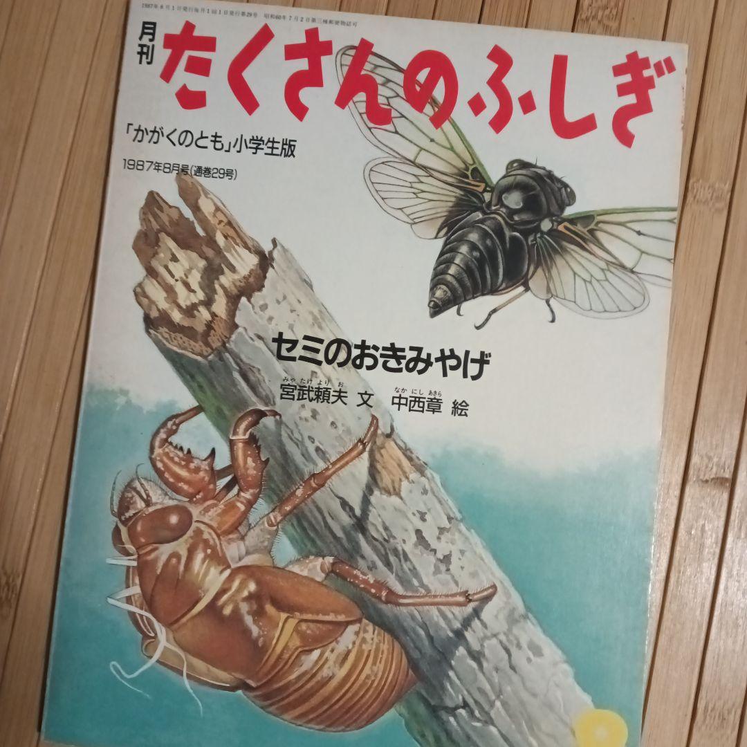 お値下げ！【たくさんのふしぎ】33冊＋希少！見本誌