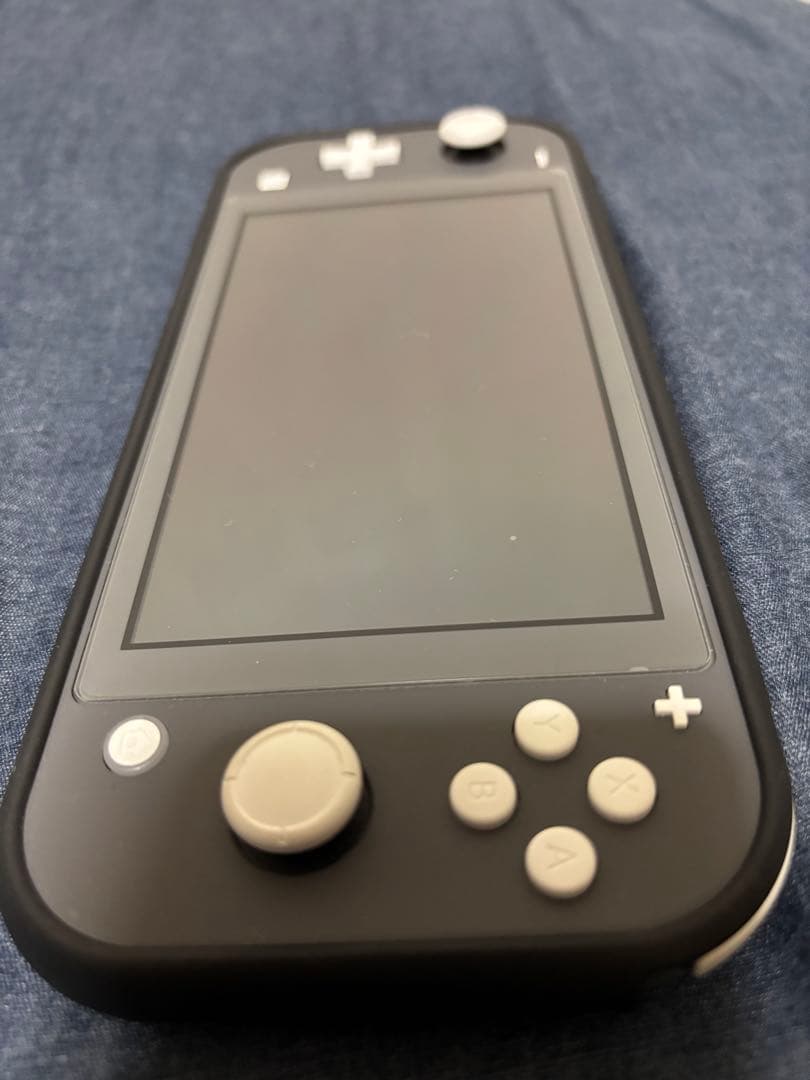 Nintendo Switch Lite グレー 本体&充電ケーブル
