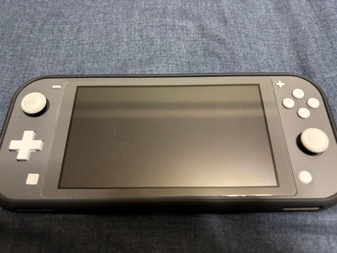 Nintendo Switch Lite グレー 本体&充電ケーブル
