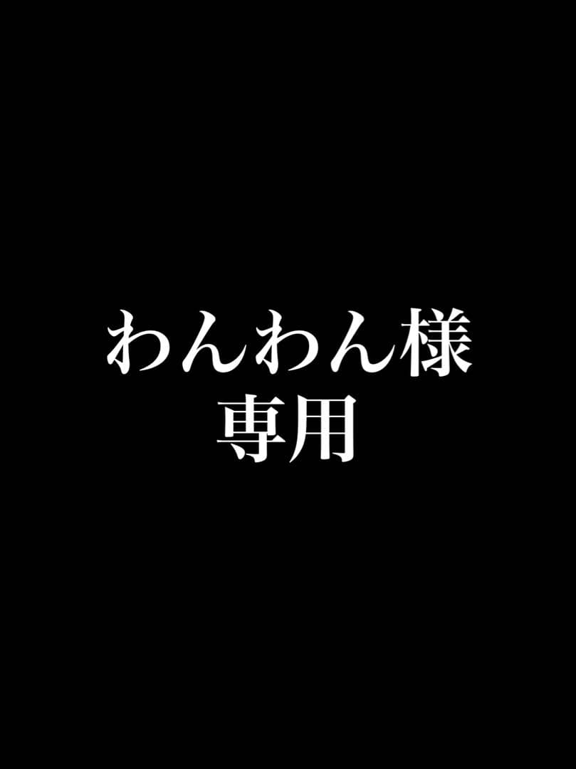わんわん〜19インチ レアシングホイール