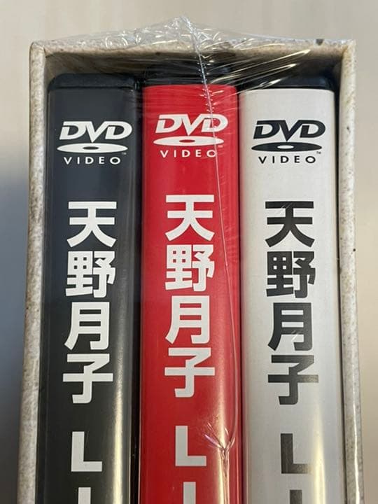 天野月子　LIVE DVD おもいで2 おまけ付き