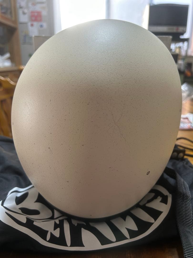 オーシャンビートル　LAC XL