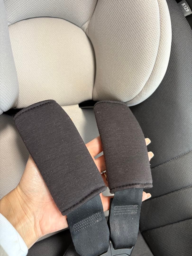 【tara】ベースのみ