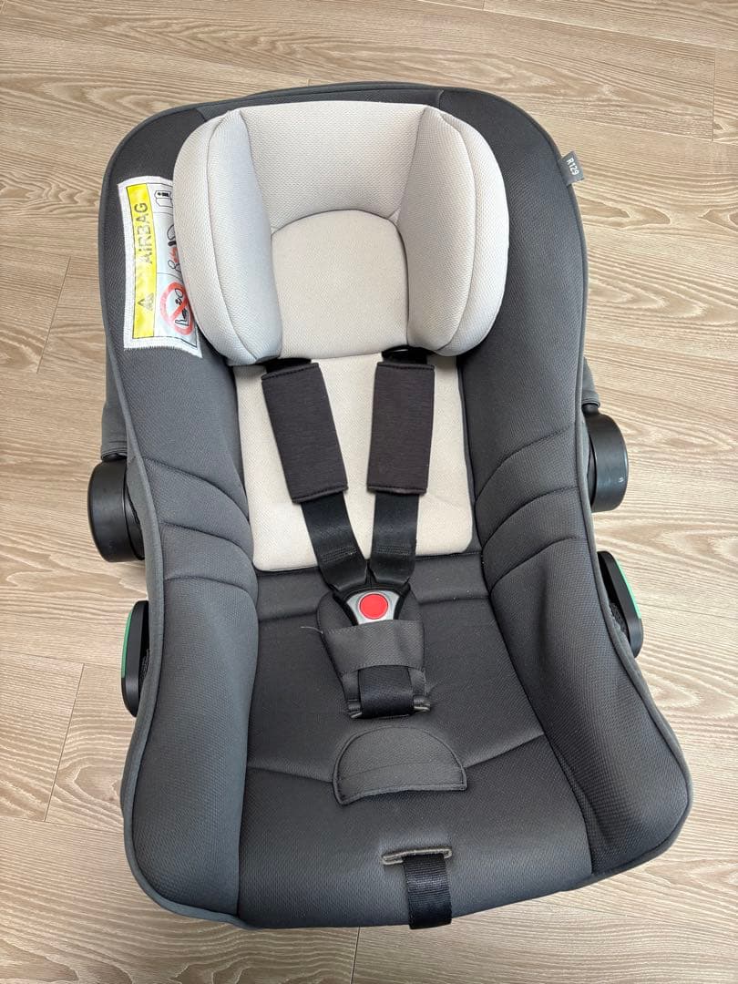 【tara】ベースのみ