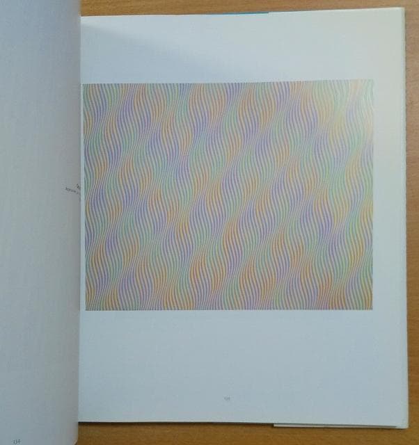 Bridget Riley　Paul Moorhouse　Tate