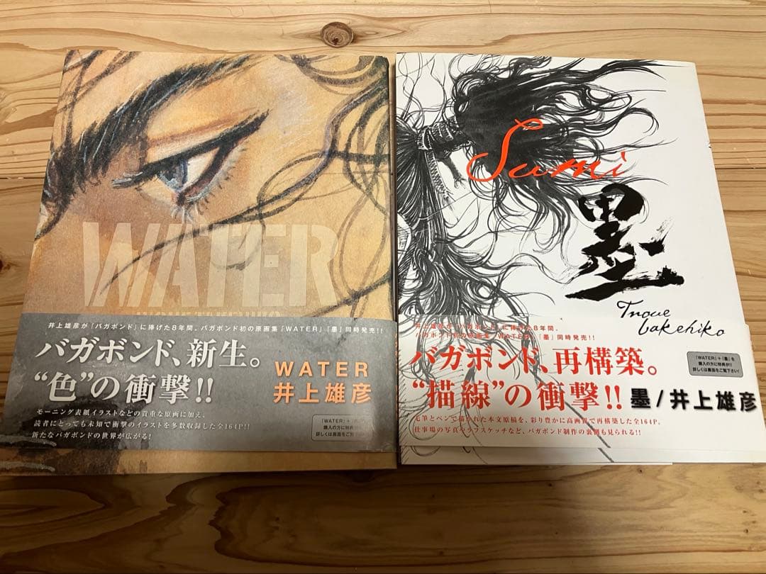 井上雄彦 バガボンド画集