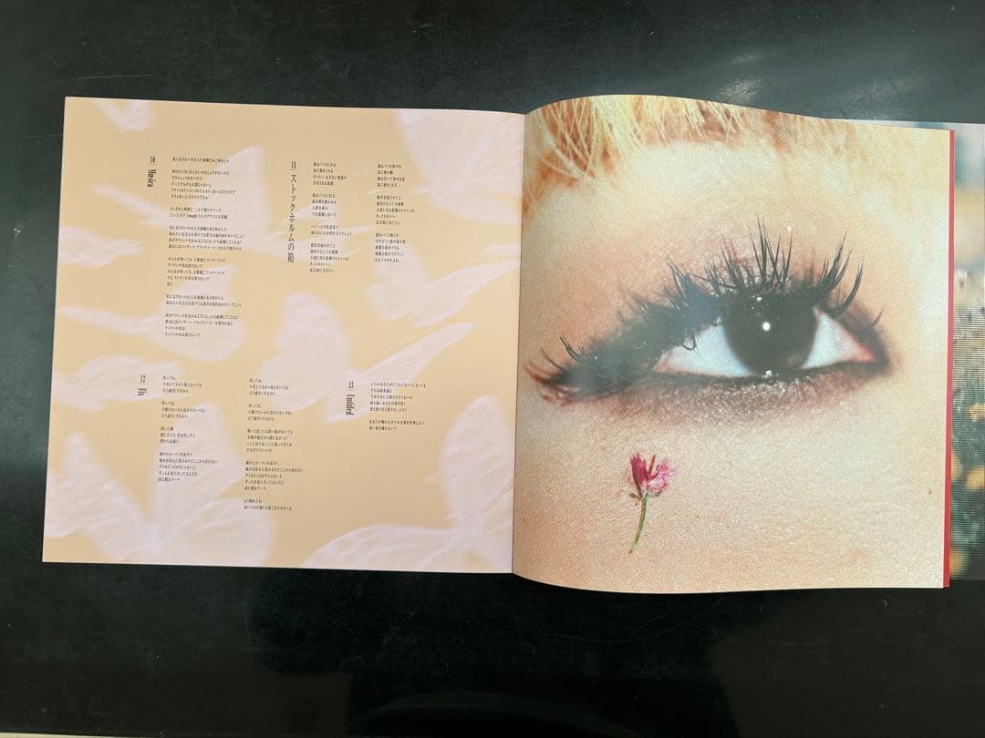 ブランデー戦記「BRANDY SENKI 」初回限定CD+DVD 蓮月さんサイン