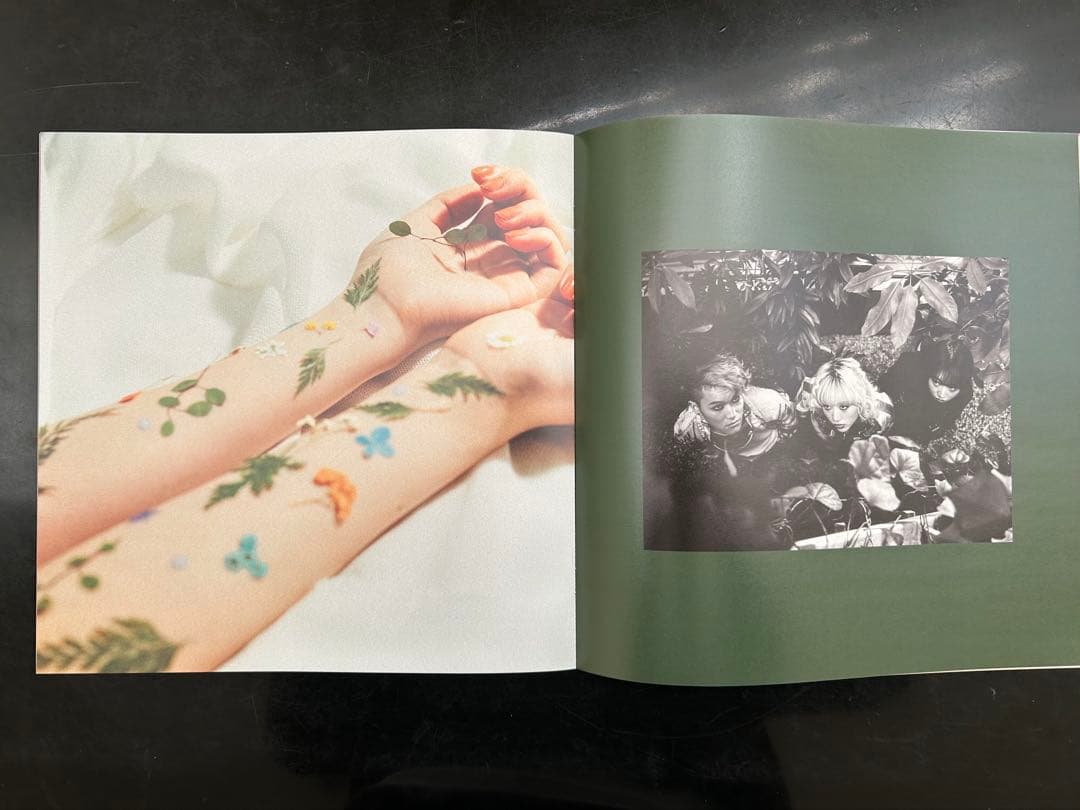 ブランデー戦記「BRANDY SENKI 」初回限定CD+DVD 蓮月さんサイン