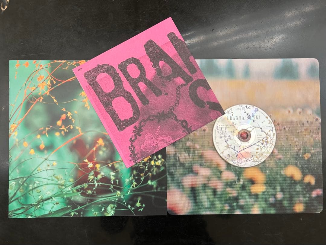 ブランデー戦記「BRANDY SENKI 」初回限定CD+DVD 蓮月さんサイン