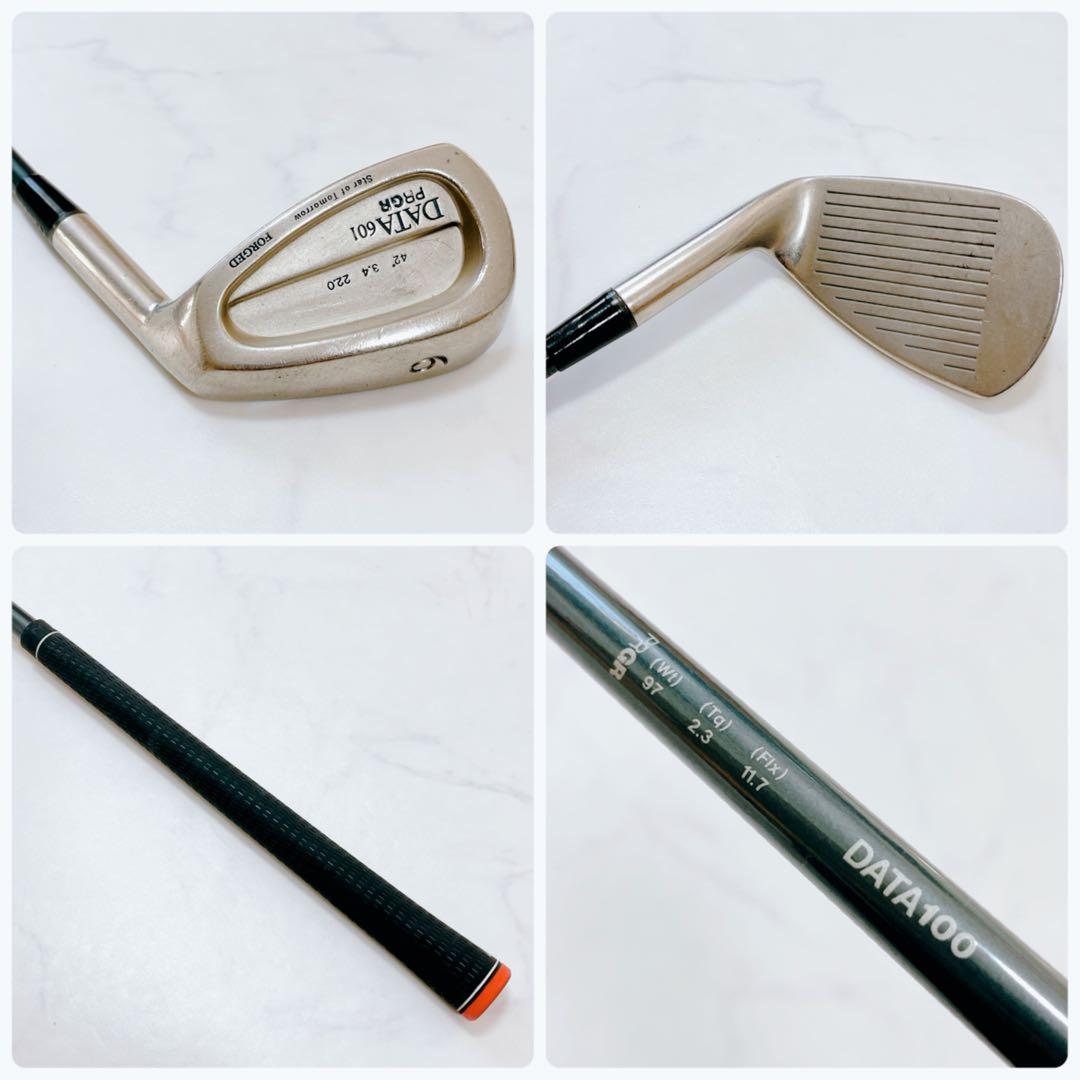 名器 プロギア DATA601 アイアンセット 右打ち 10本 メンズ 三浦技研