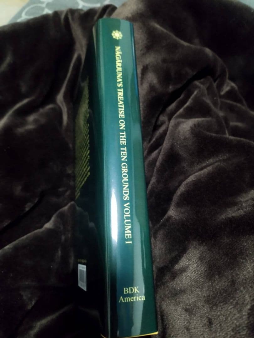 Nāgārjuna's Treatise on the Ten Grounds