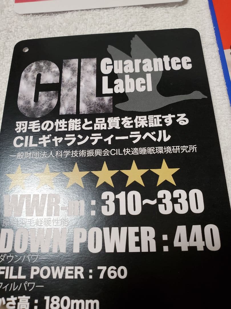 みー☆ 純ポーランド産　羽毛布団