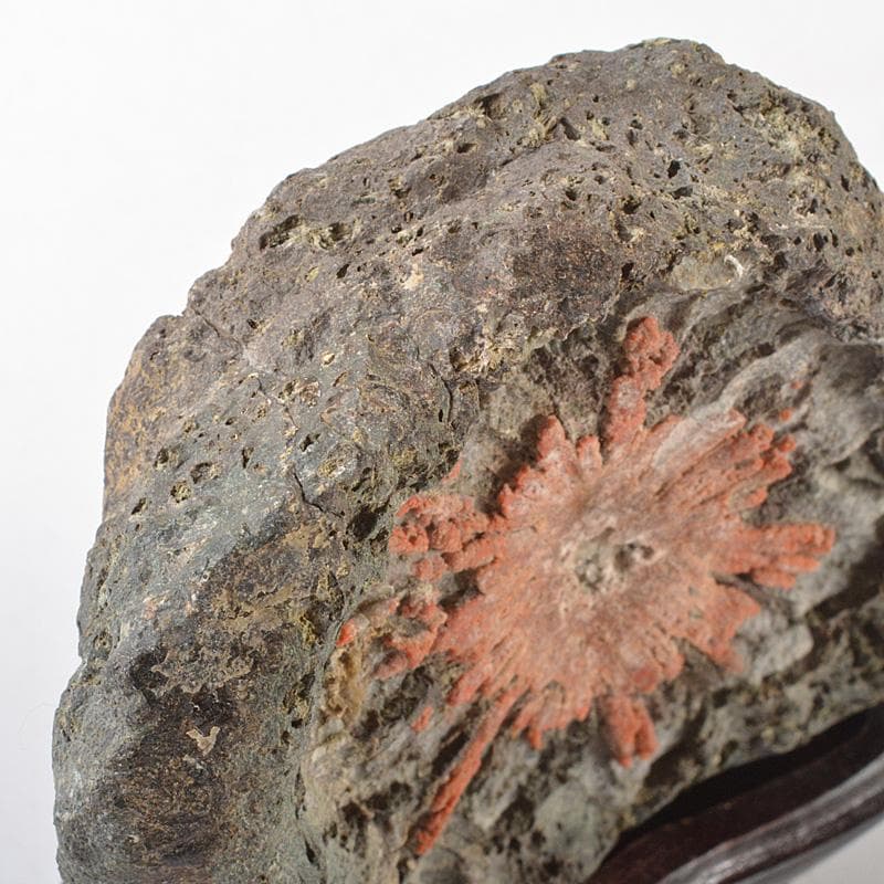 天然石　鑑賞石　菊花石　置物　重さ約392g　唐木台付　V　R6492