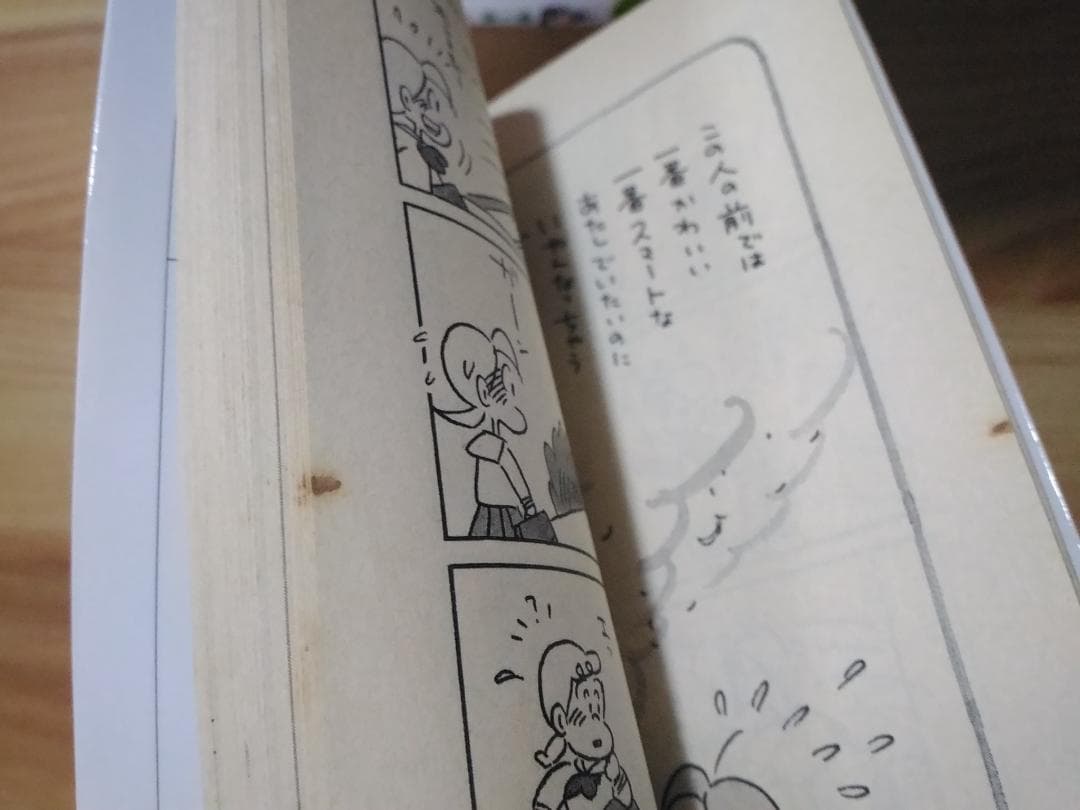 名作 小さな恋のものがたり 既刊全46巻セット みつはしちかこ 1～46集チッチ