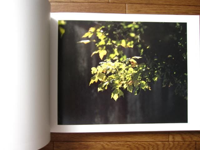 知覚の感光板　鈴木理策　Risaku Suzuki　初版　直筆サイン入り