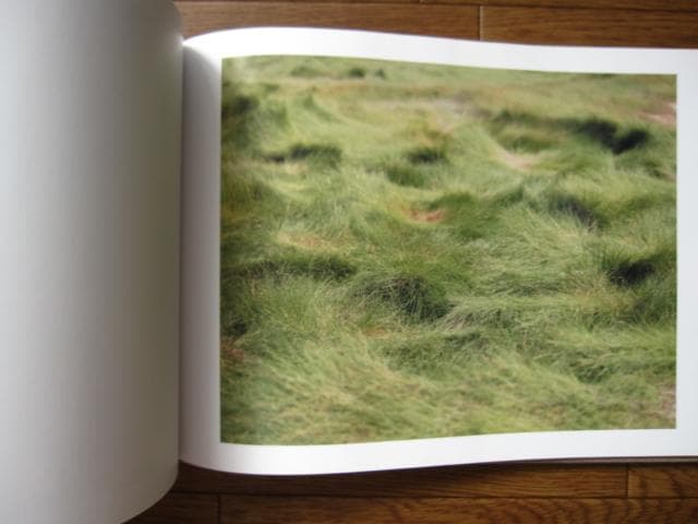 知覚の感光板　鈴木理策　Risaku Suzuki　初版　直筆サイン入り