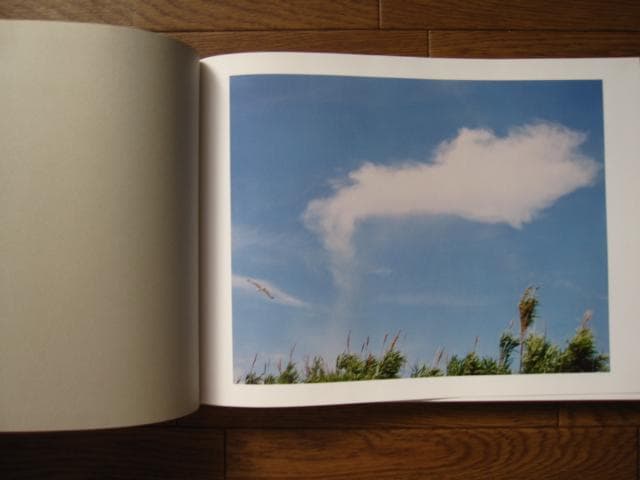 知覚の感光板　鈴木理策　Risaku Suzuki　初版　直筆サイン入り