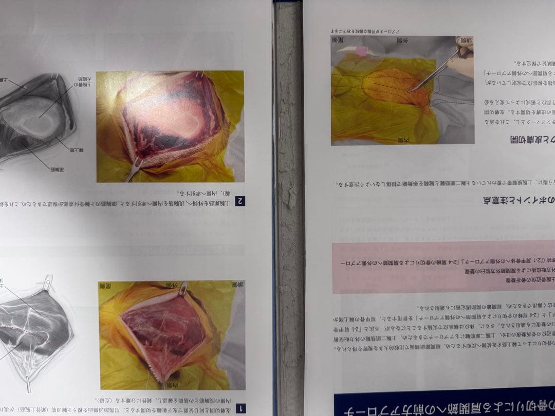 ※裁断済み　犬の四肢と骨盤への整形外科アプローチ